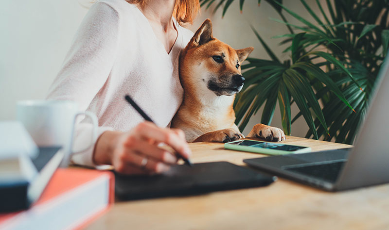 tax prep support